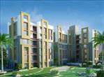 Daffodil Blooms, 2 & 3 BHK Apartments